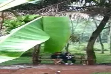 Gadis Cantik Pasrah Goyang Kasur Kebun